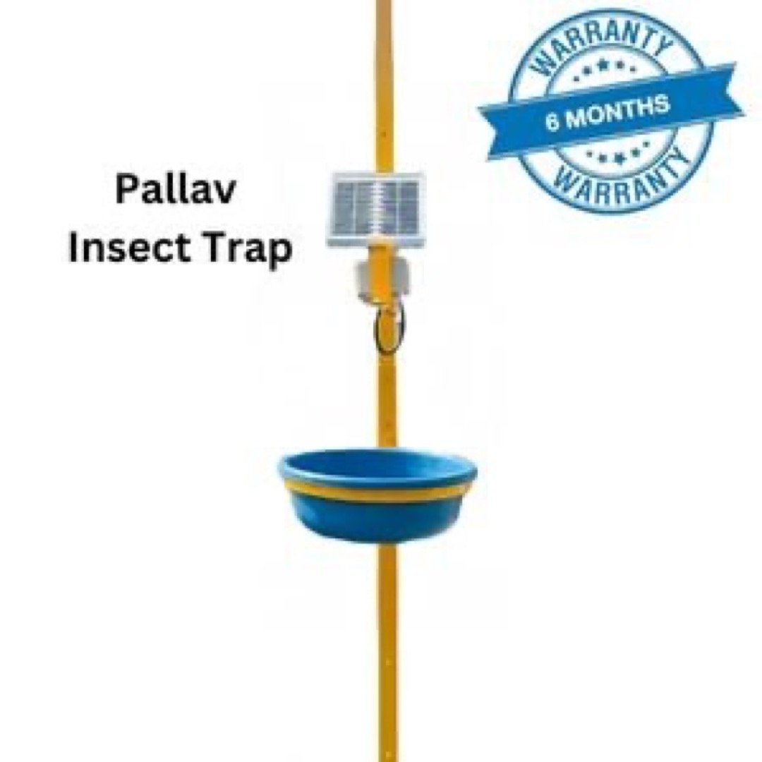 Solar Insect Traps